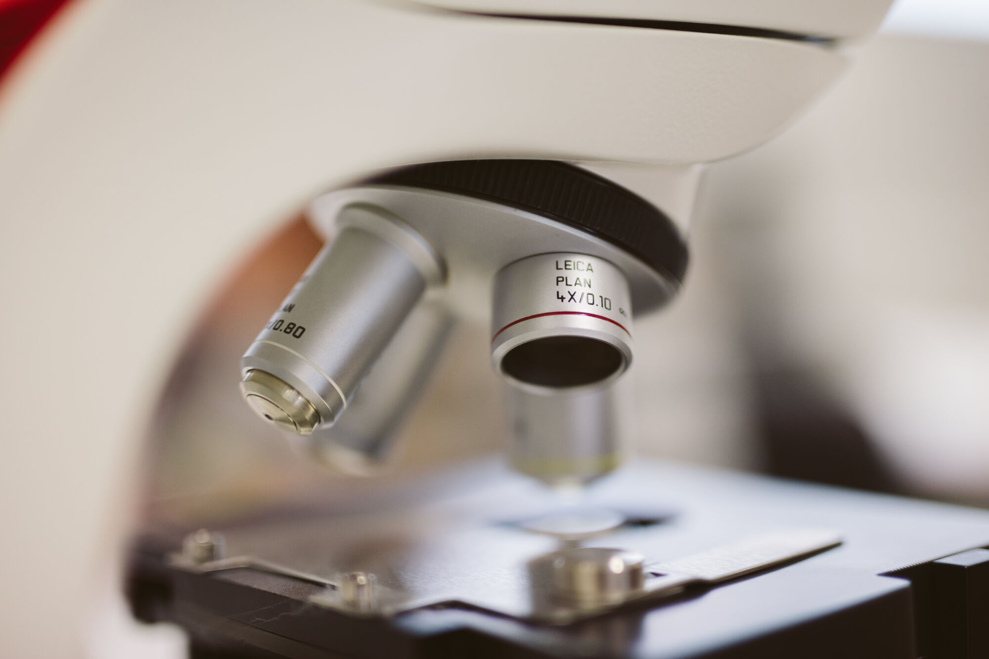 Long en nier practicum biomedische wetenschappen (23).jpg