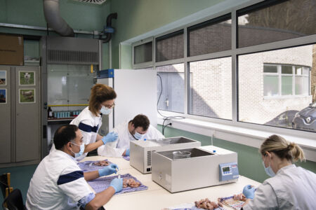 Veterinaire Fysiologie (1).jpg