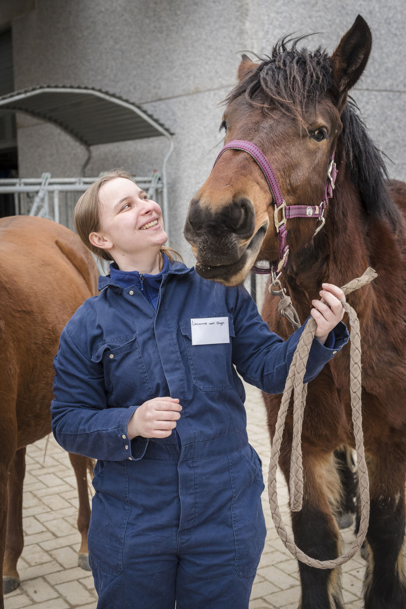 Diergeneeskunde 2016 (8).jpg