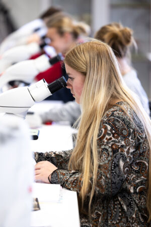 histologie-bachelorBMW-67.jpg