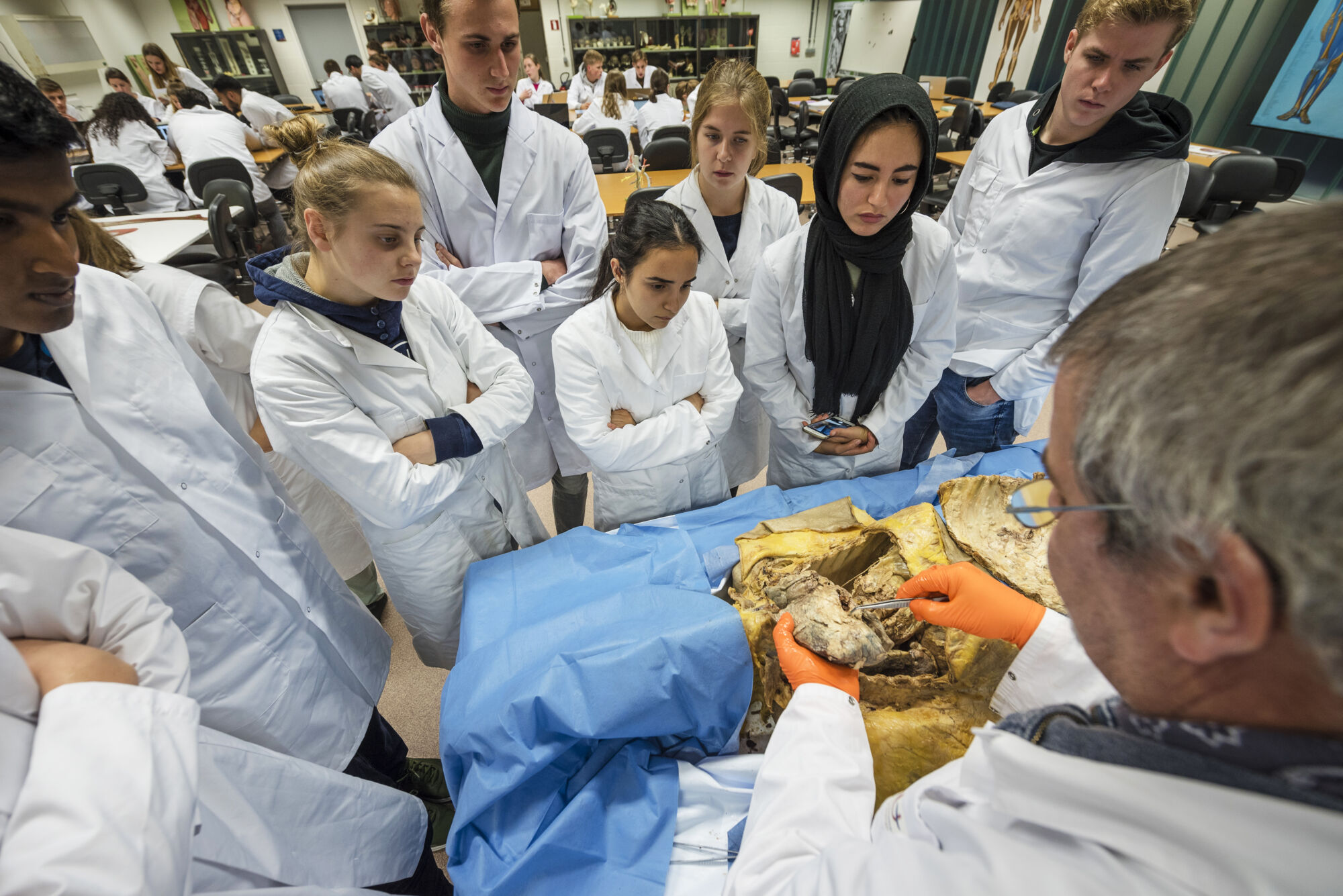 Anatomiepracticum geneeskunde (43).jpg