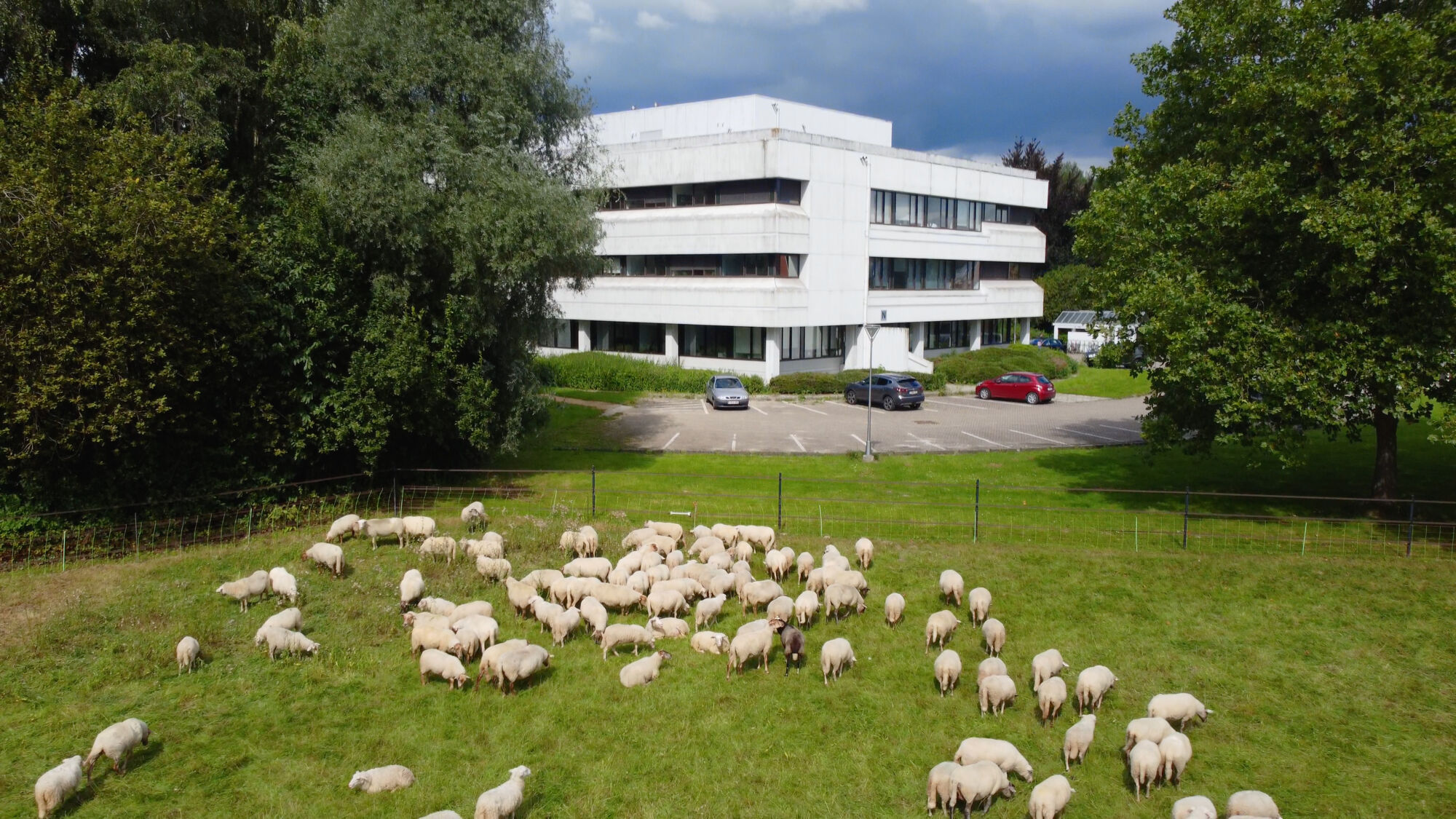 Biodiversiteit UAntwerpen 2021 (16).jpg