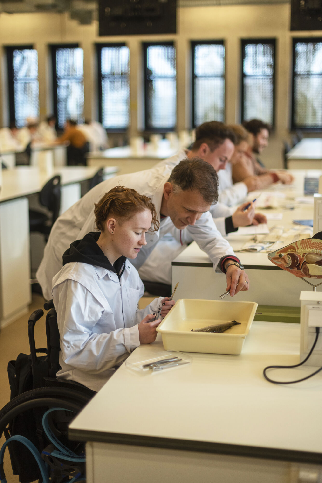 Studeren met een functiebeperking (32).jpg
