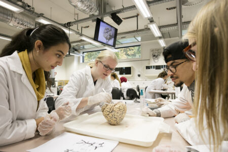 Neuro-practicum - biomedische wetenschappen (6)