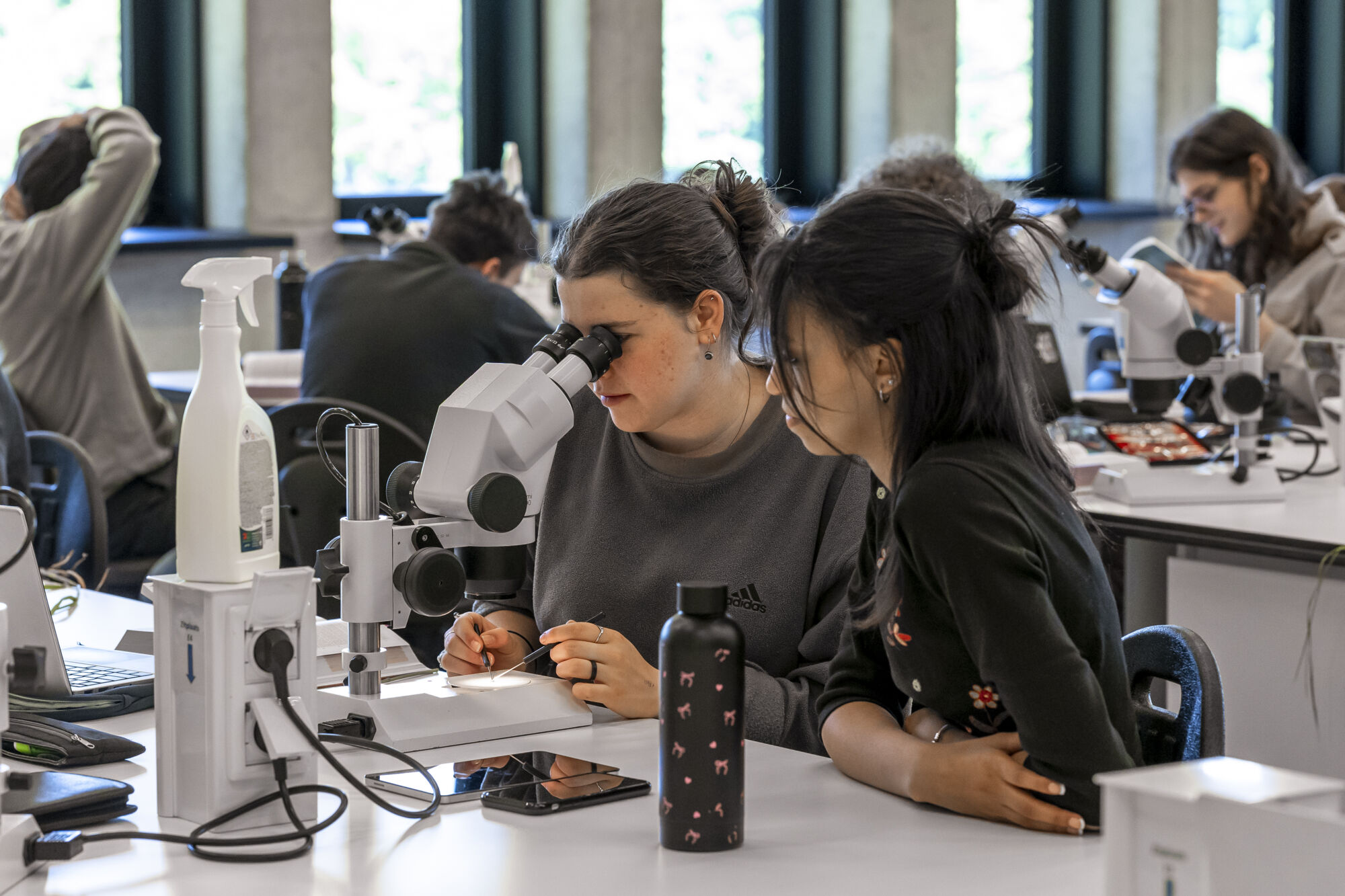 Biologiepracticum bachelor  