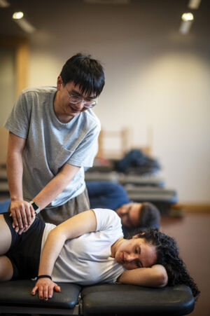 Musculoskeletal physiotherapy