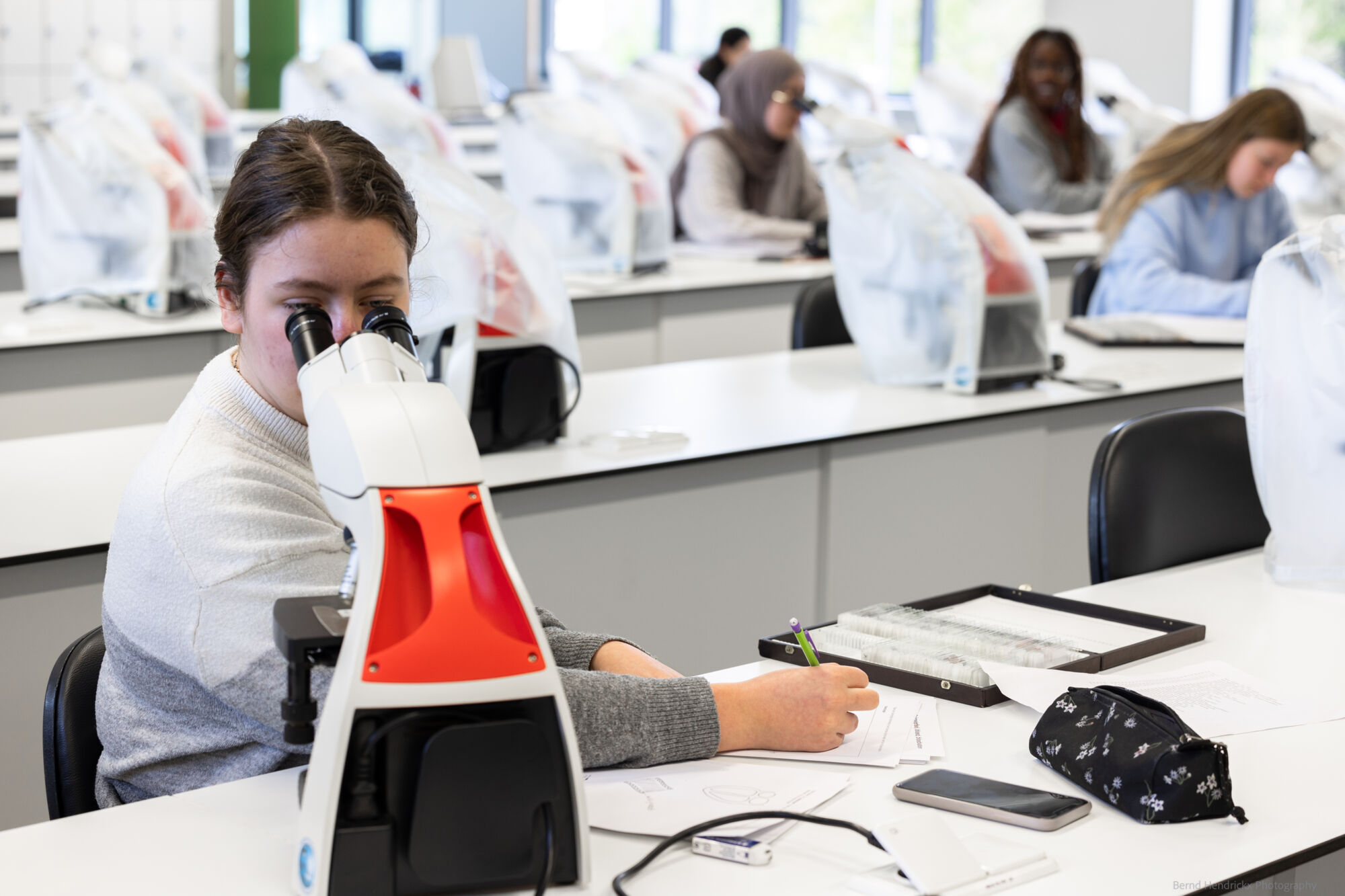 histologie-bachelorBMW-47.jpg