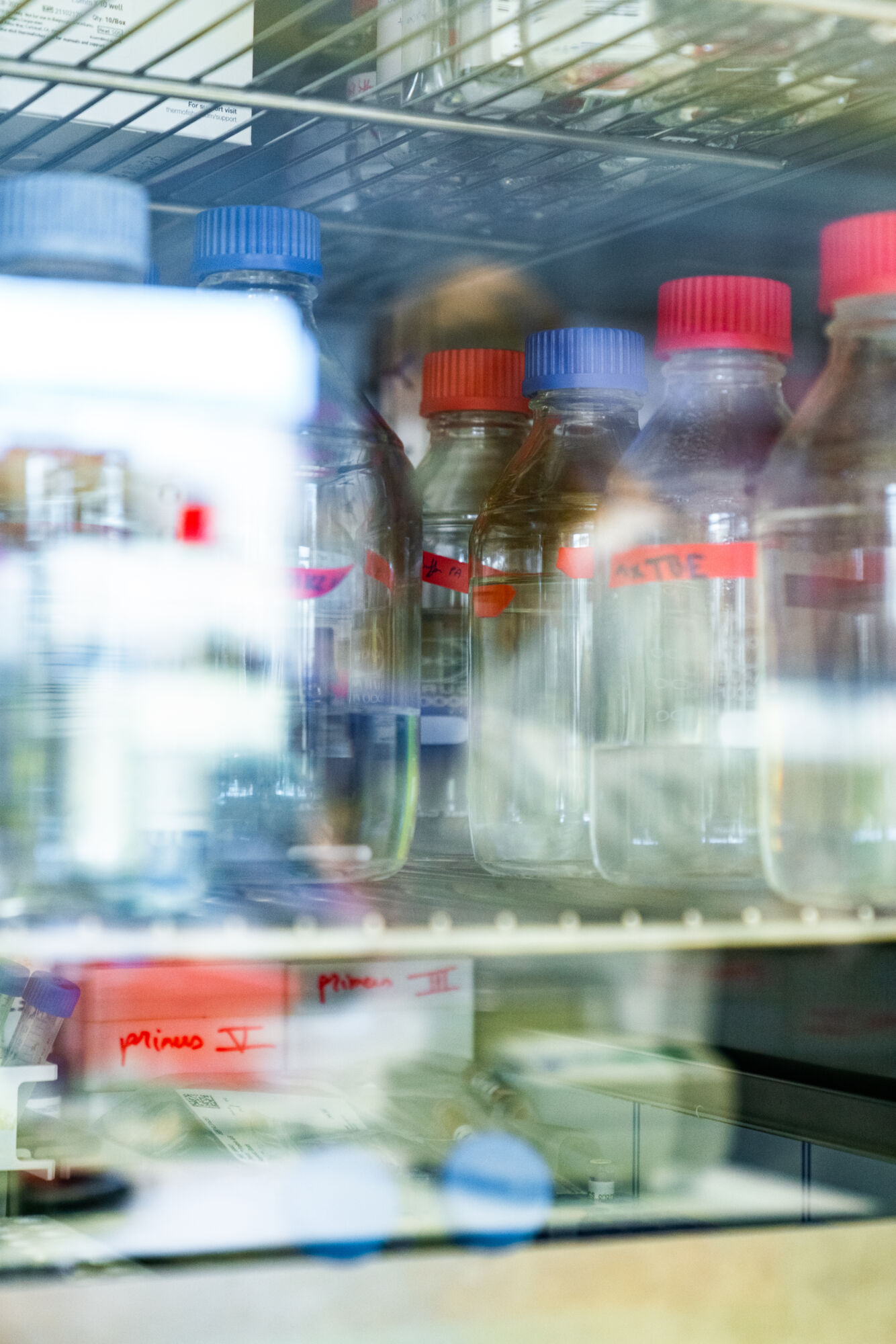 VIB Center for Molecular Neurology (45).jpg