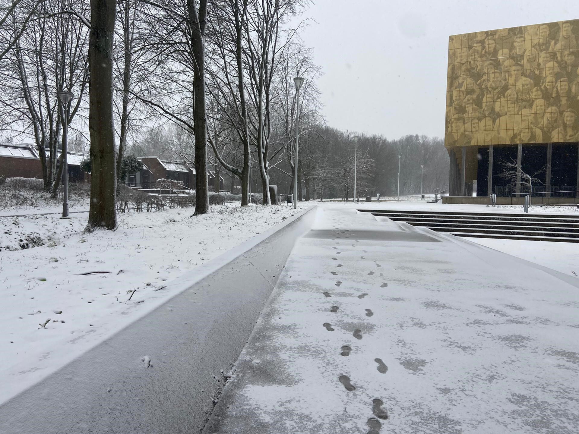 Sneeuwbeelden februari 2021 (01).jpg