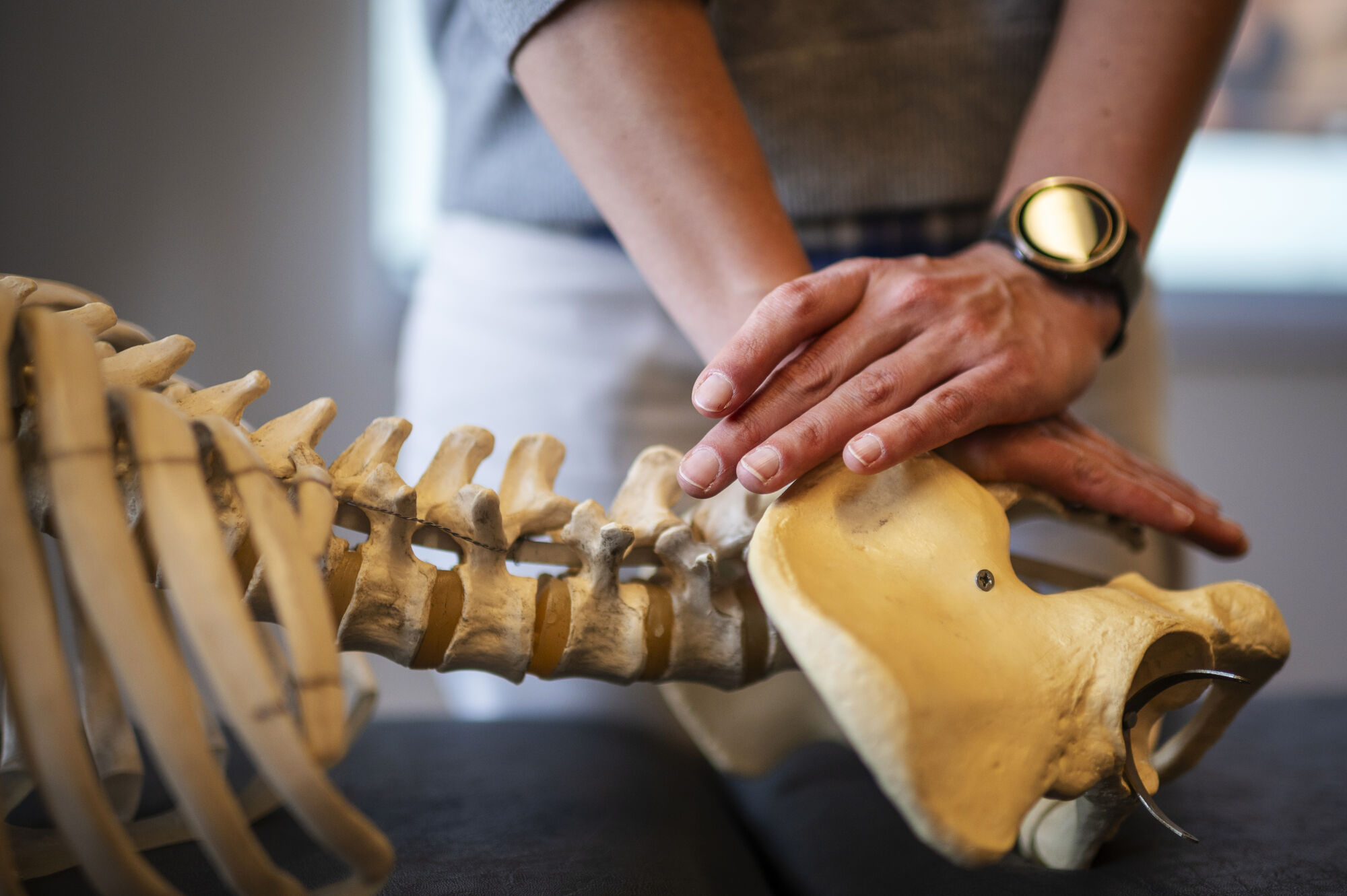 Musculoskeletal physiotherapy