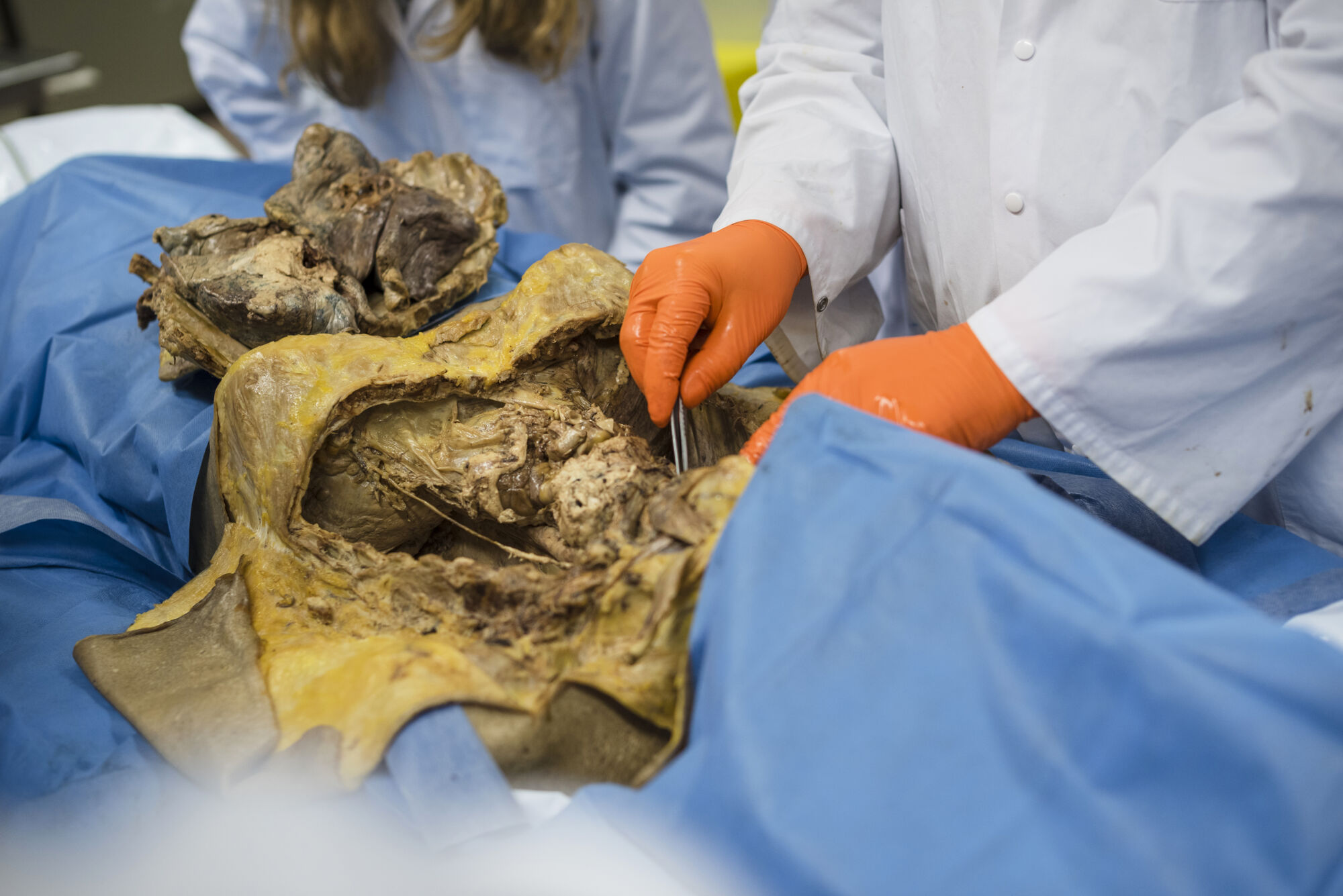 Anatomiepracticum geneeskunde (47).jpg