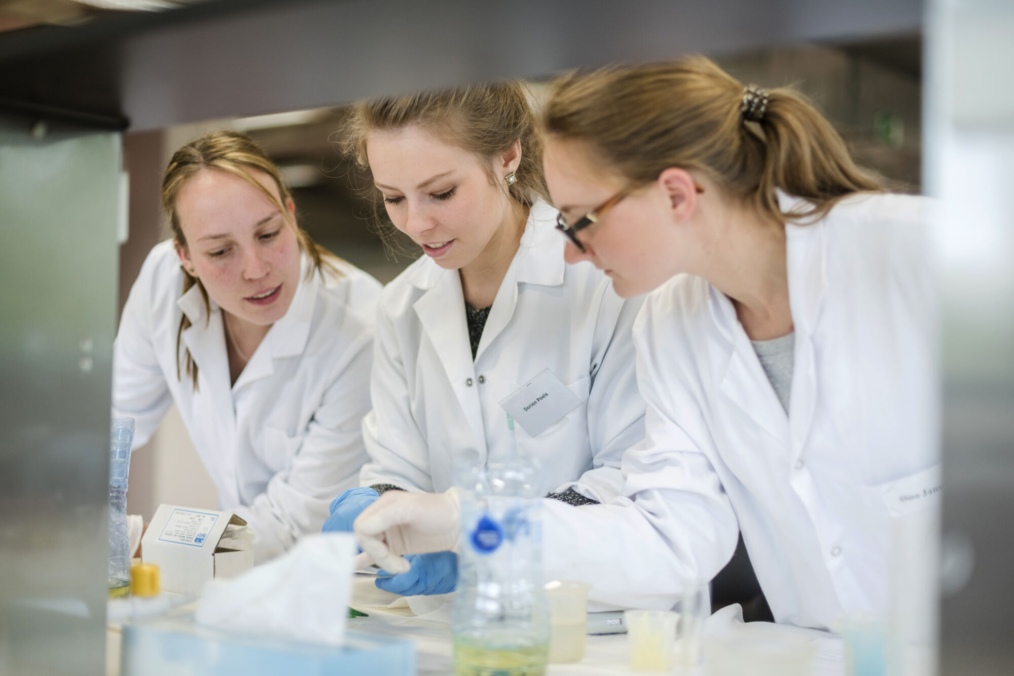 Practicum diergeneeskunde 2017 (15).jpg