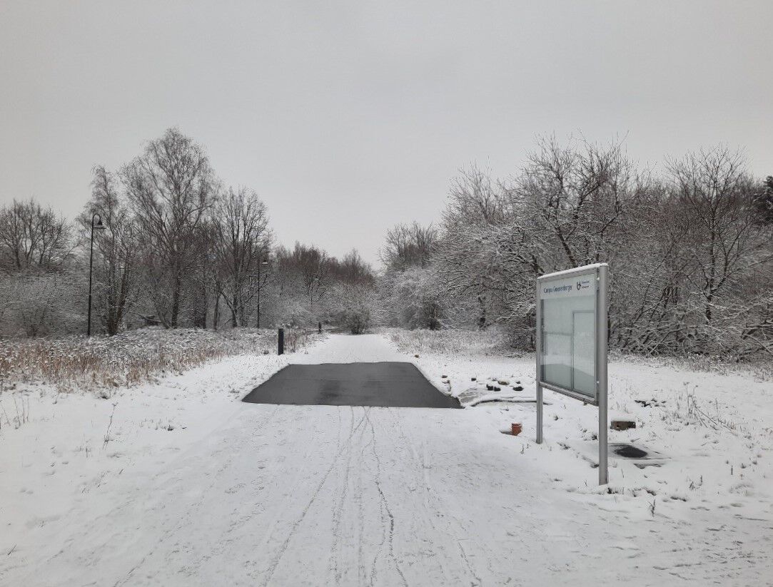 Sneeuwbeelden februari 2021 (02).jpg