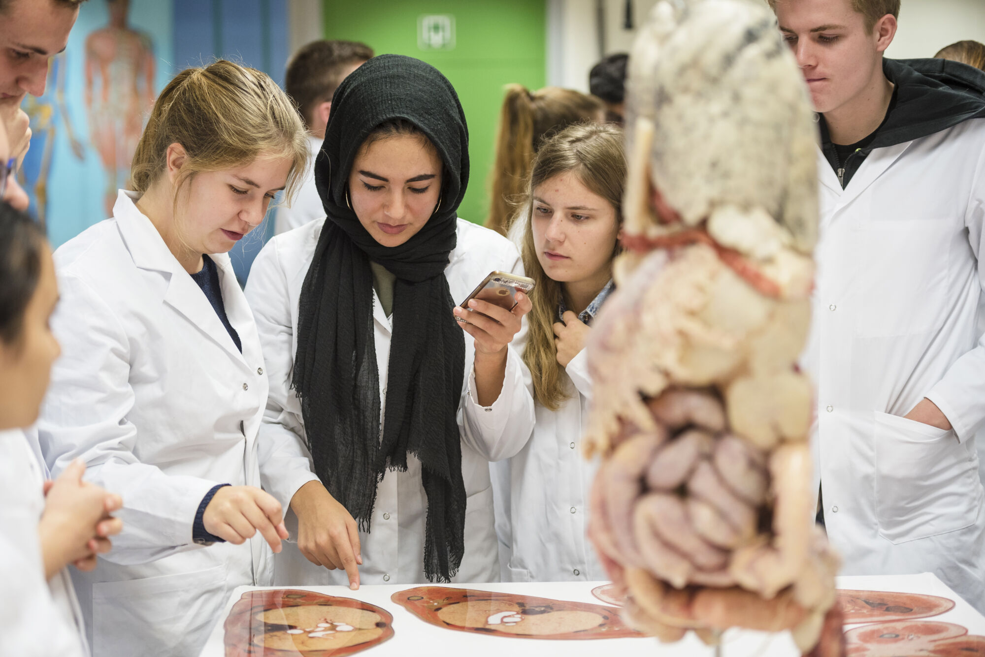 Anatomiepracticum geneeskunde (16).jpg