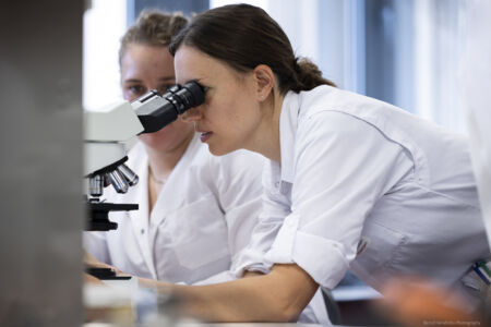 Parasitologie - 8.jpg