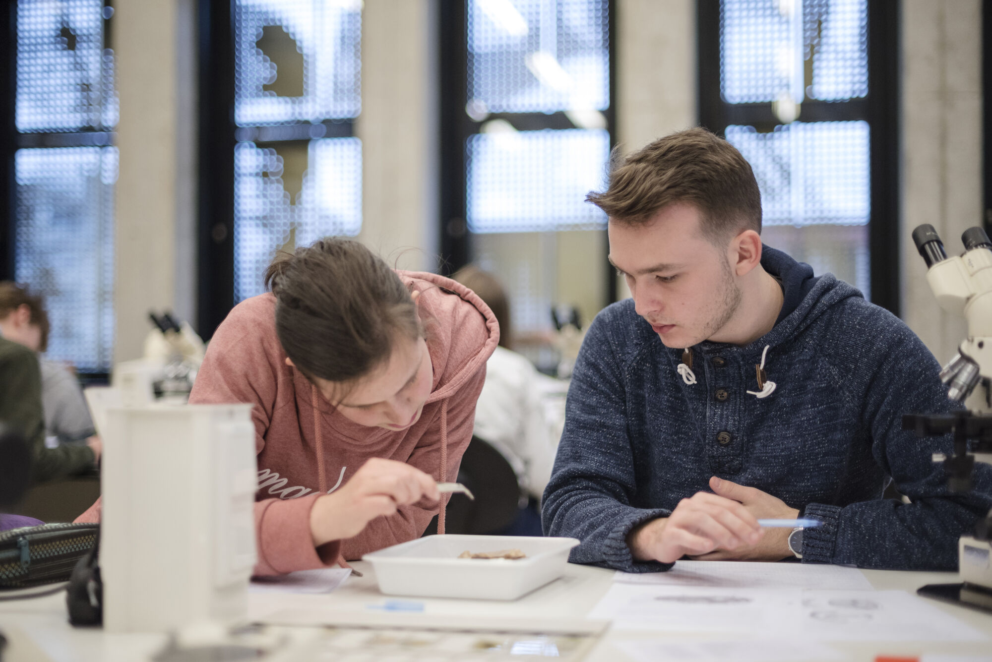 Practicum Biodiversiteit en functie (53).jpg