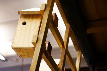 Projectweek architectuur 2023