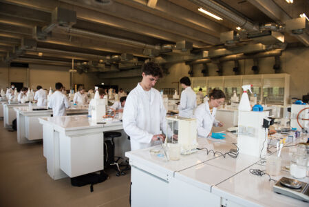 Biologie - vorm en functie planten (12).jpg