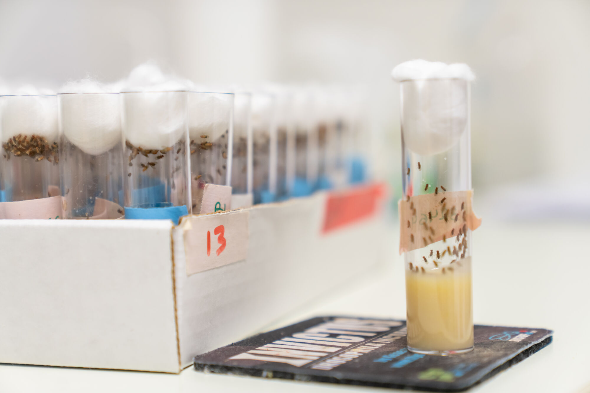 VIB Center for Molecular Neurology (32).jpg