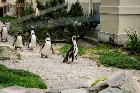 ZOO Antwerpen vanuituwkot (29).jpg