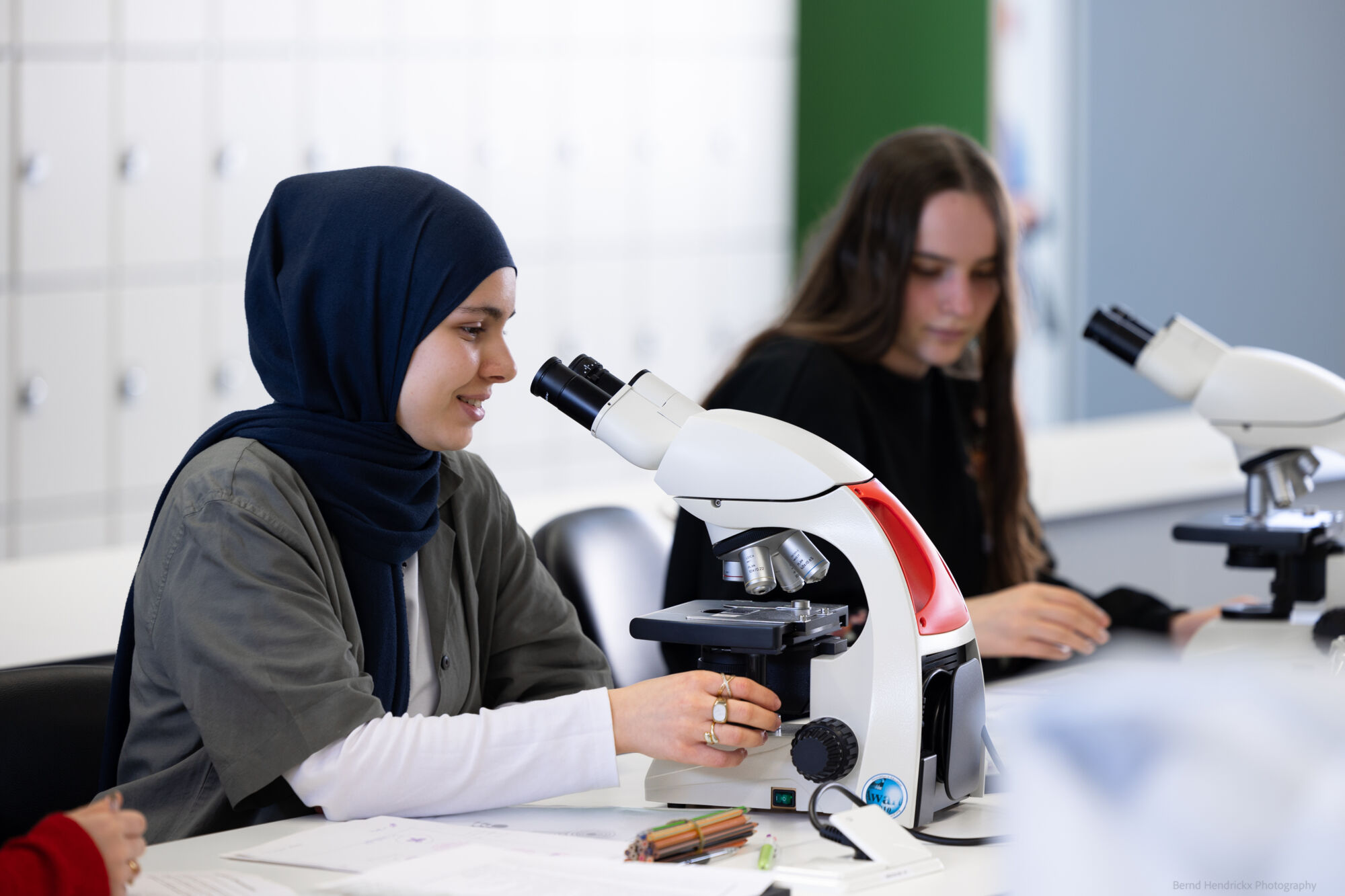 histologie-bachelorBMW-6.jpg