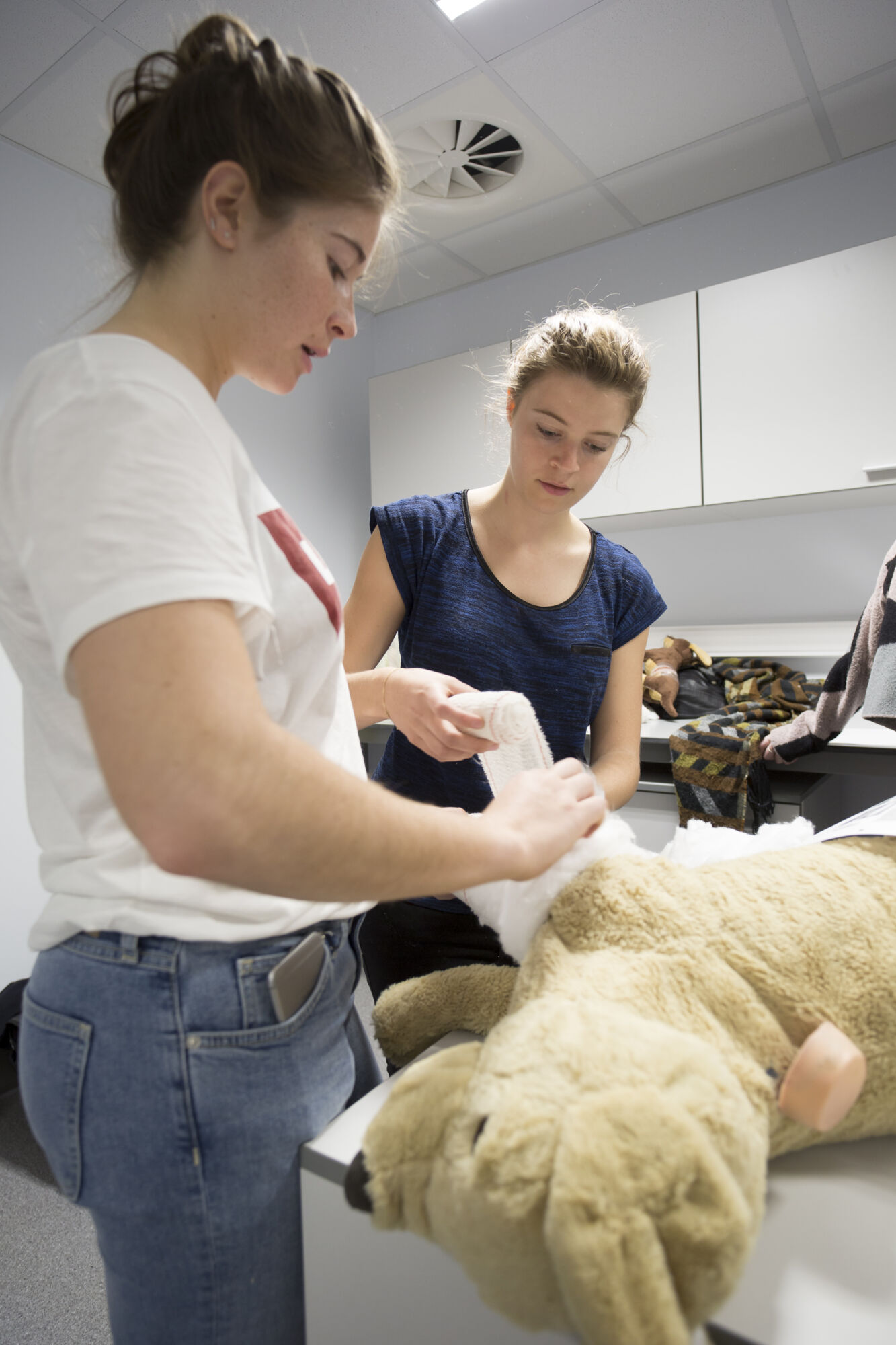 Practicum Skills Lab diergeneeskunde (2)