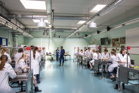 Diergeneeskunde practicum
