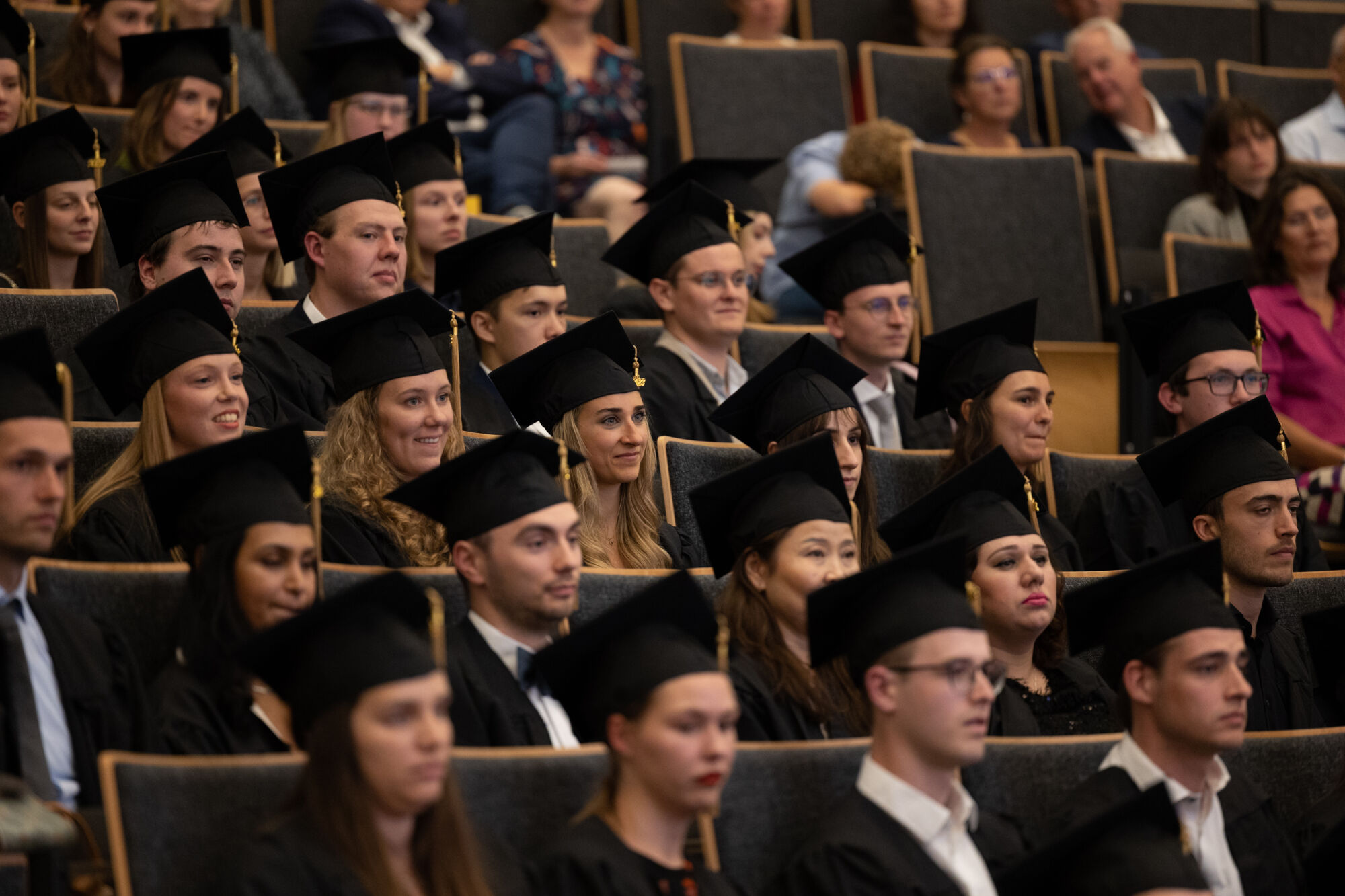 Proclamatie geneeskunde - master - 2023 
