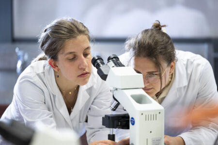 Parasitologie - 4.jpg