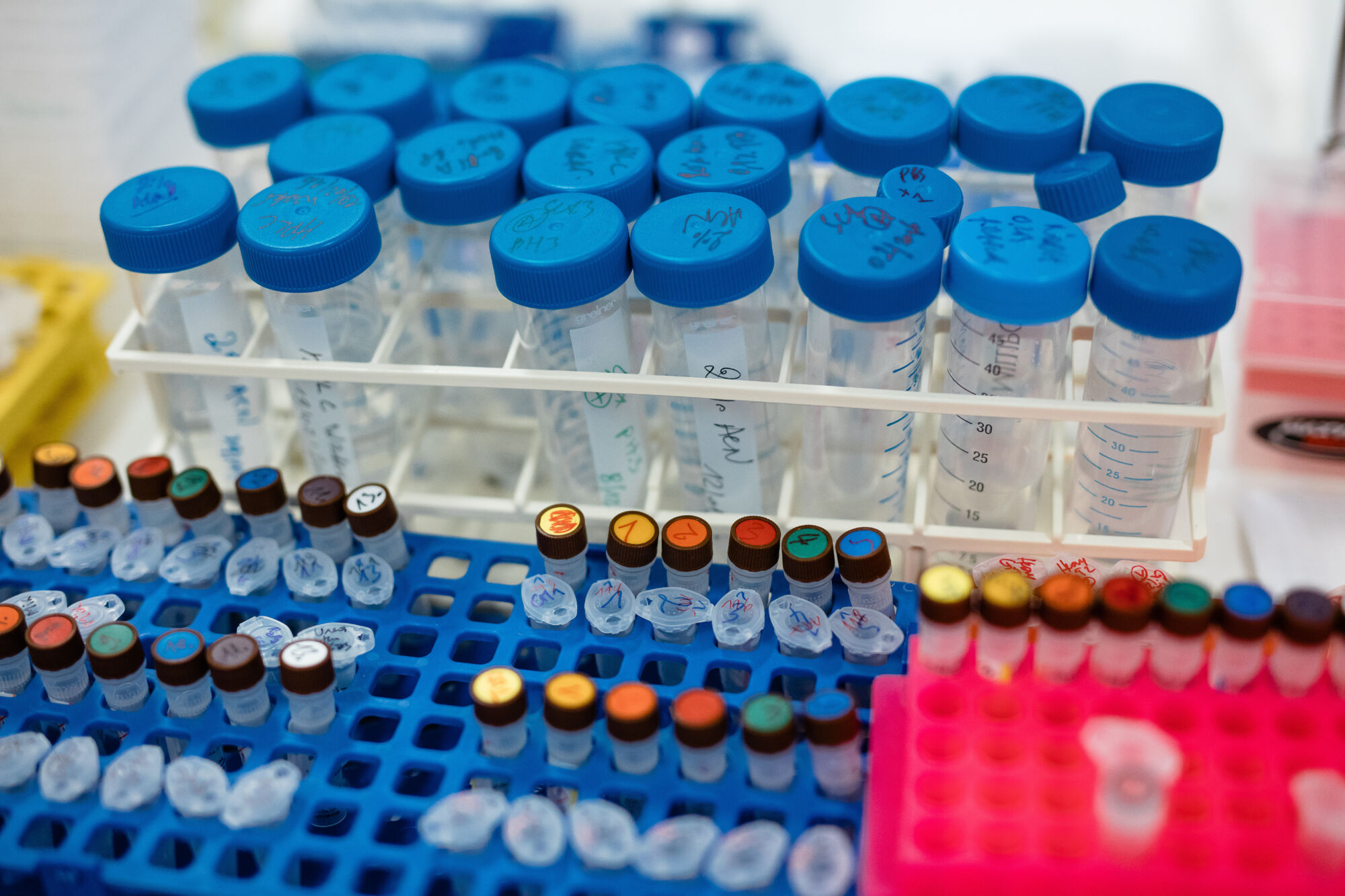 Centre for Proteomics (23).jpg
