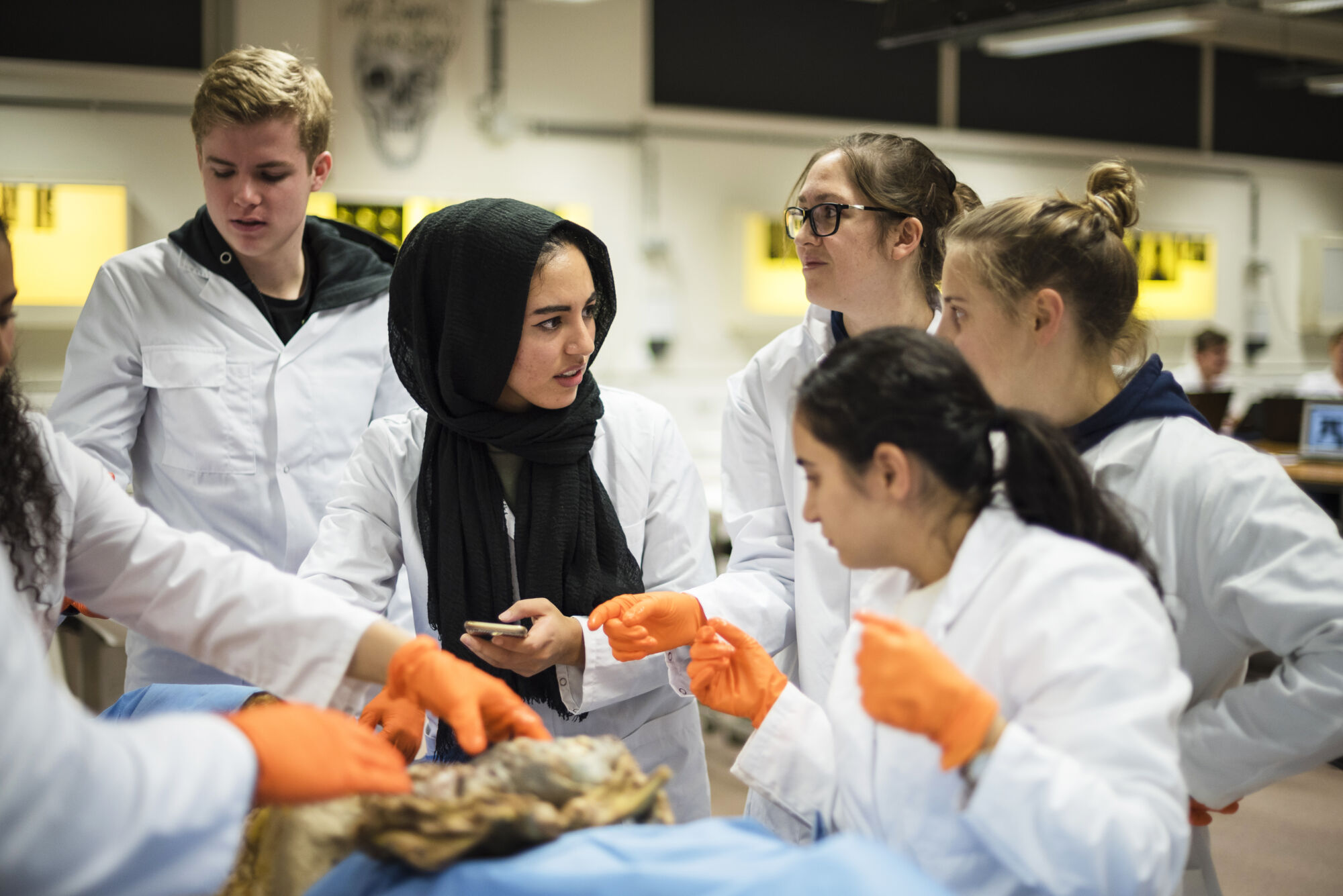 Anatomiepracticum geneeskunde (62).jpg