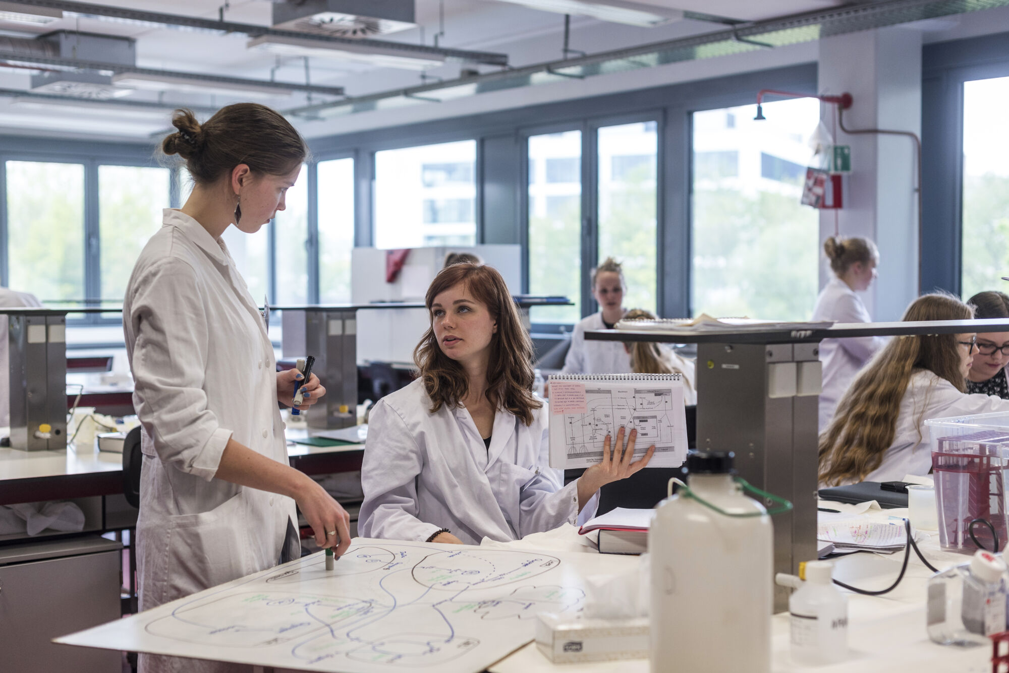 Metabolisme practicum diergeneeskunde (16).jpg