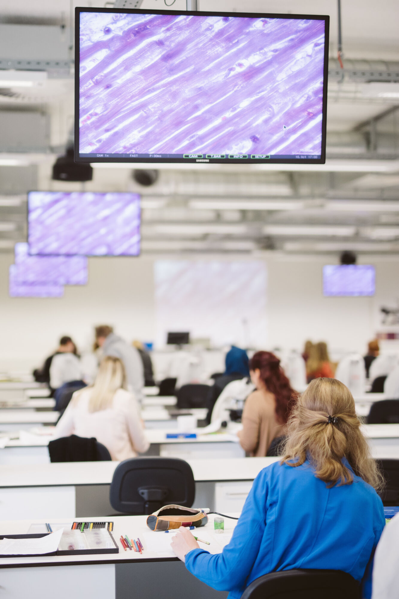Long en nier practicum biomedische wetenschappen (22).jpg