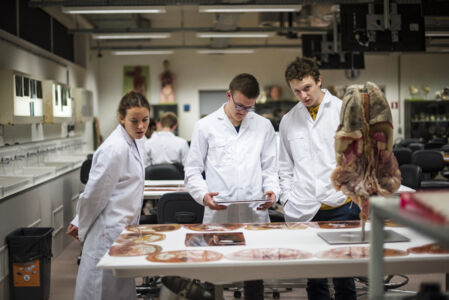 Anatomiepracticum geneeskunde (25).jpg