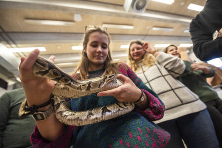 Biologie - amfibieën en reptielen (53).jpg