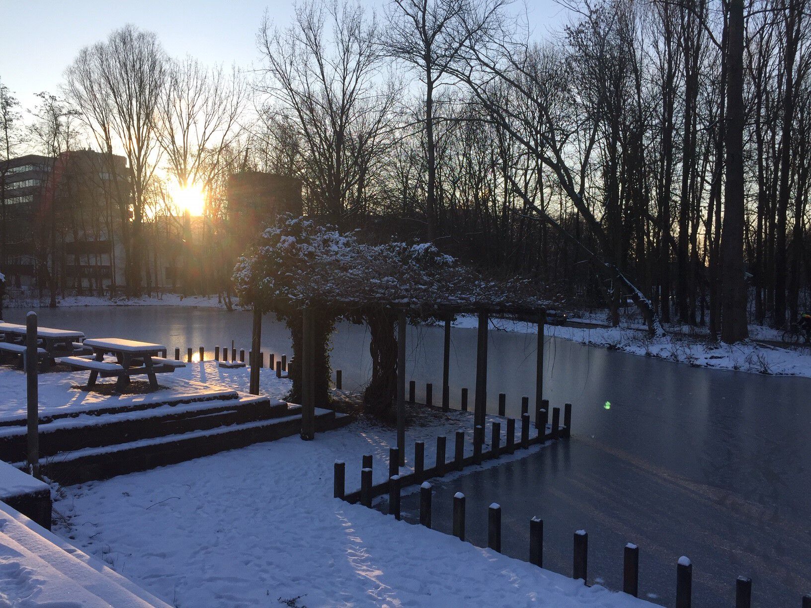 Sneeuwbeelden februari 2021 (21).jpg