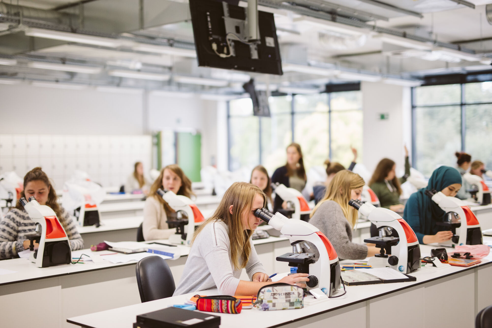 Long en nier practicum biomedische wetenschappen (20).jpg