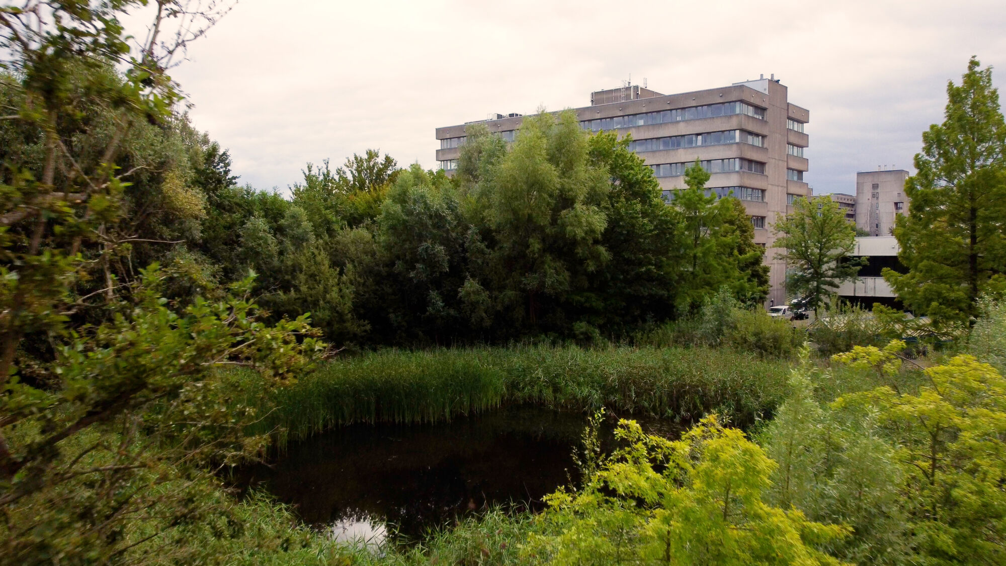 Biodiversiteit UAntwerpen 2021 (14).jpg