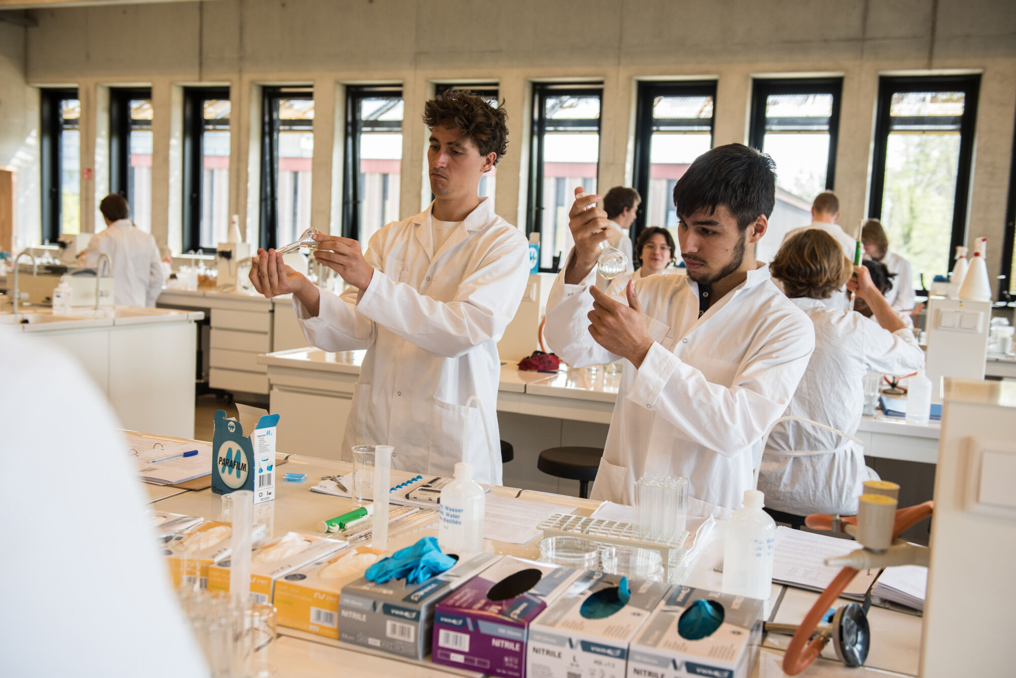 Biologie - vorm en functie planten (21).jpg