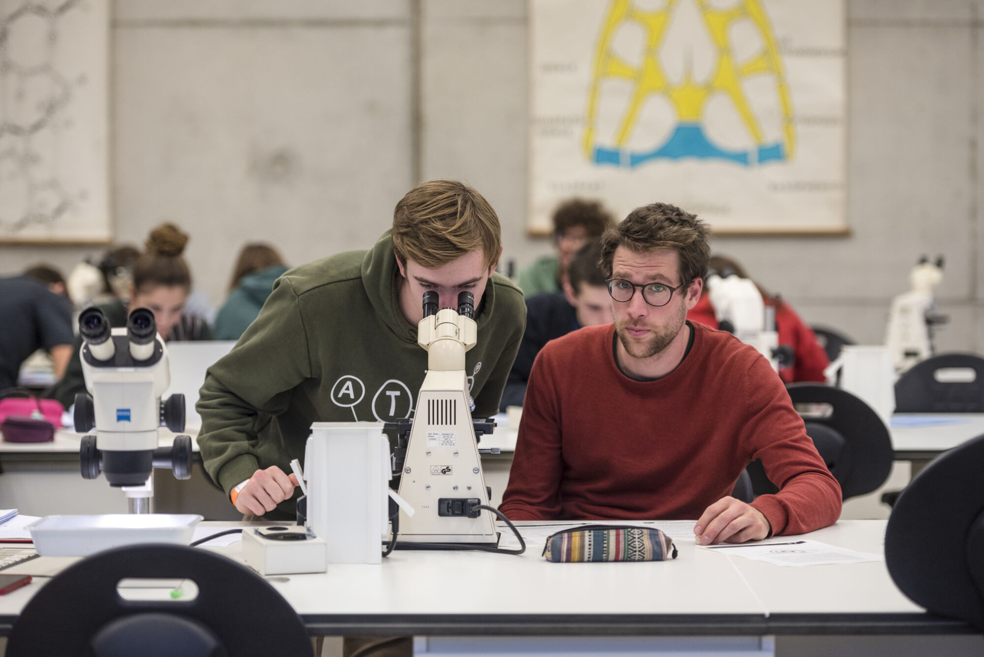 Practicum Biodiversiteit en functie (29).jpg