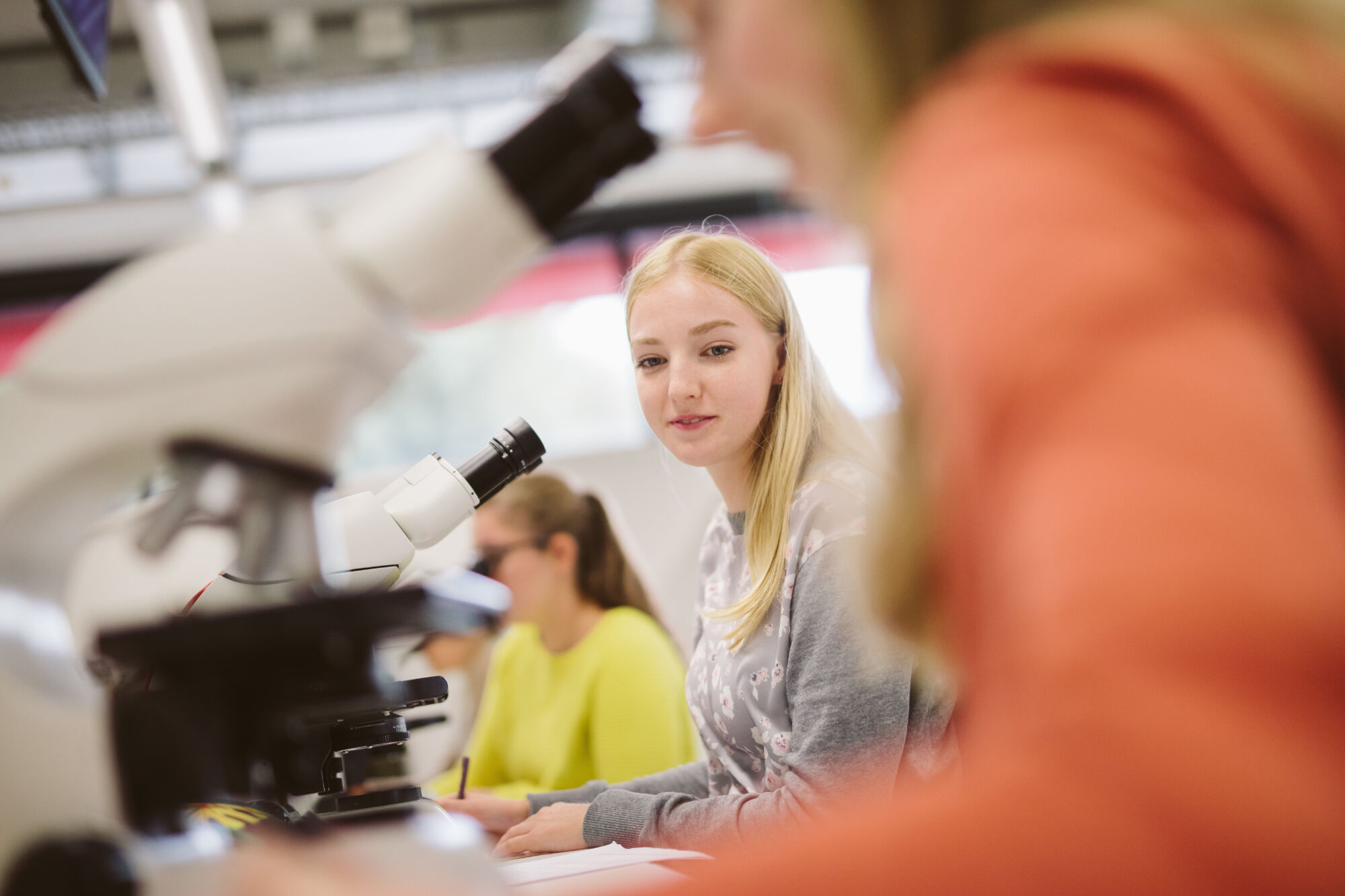 Long en nier practicum biomedische wetenschappen (6).jpg