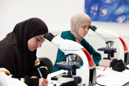 histologie-bachelorBMW-43.jpg