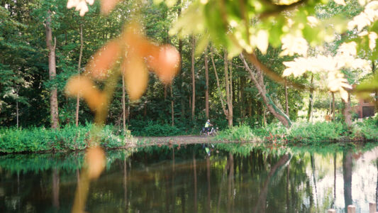 Biodiversiteit UAntwerpen 2021 (39).jpg