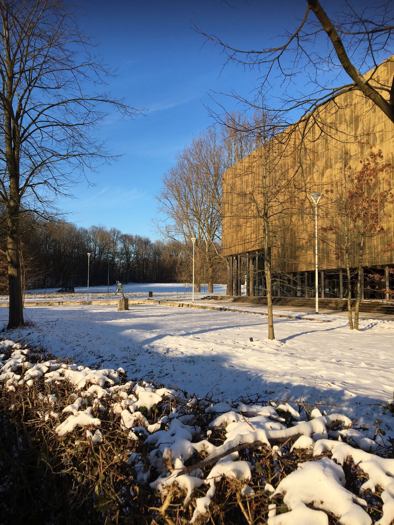 Sneeuwbeelden februari 2021 (20).jpg