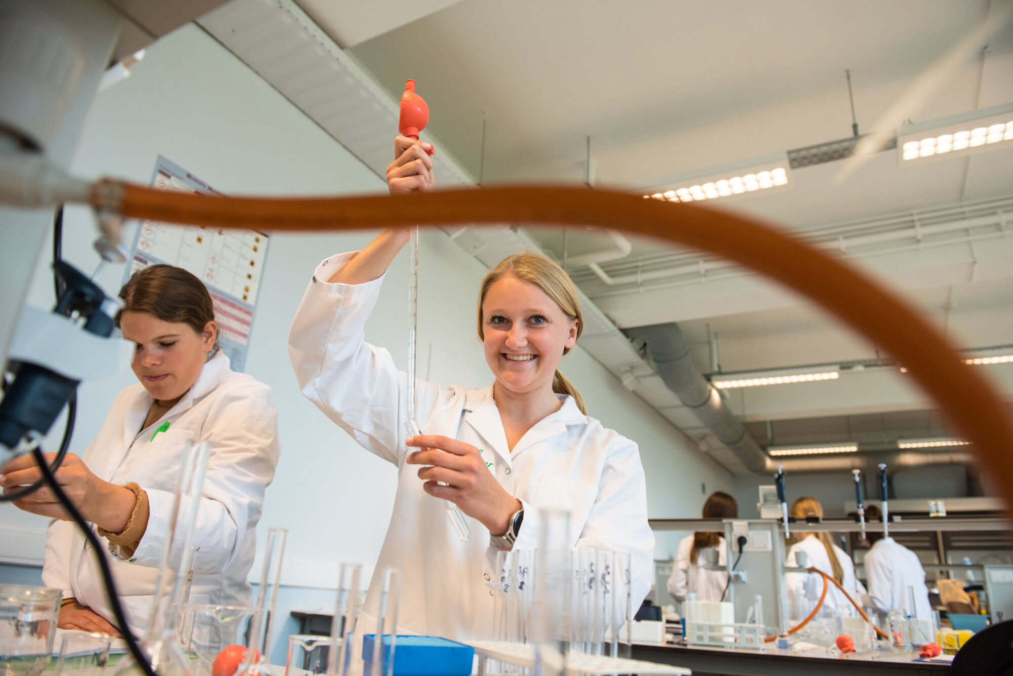Geïntegreerd practicum bio-ingenieurswetenschappen (11).jpg