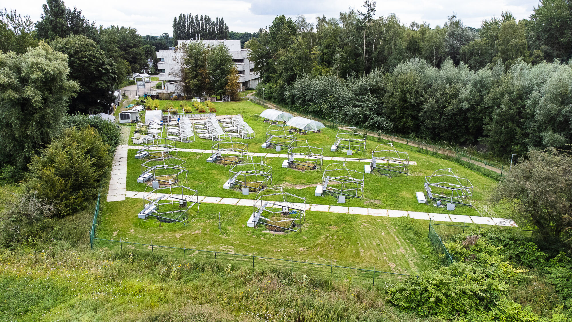 Biodiversiteit UAntwerpen 2021 (5).jpg