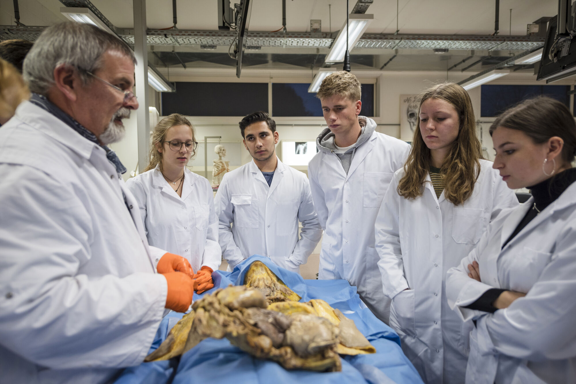 Anatomiepracticum geneeskunde (36).jpg