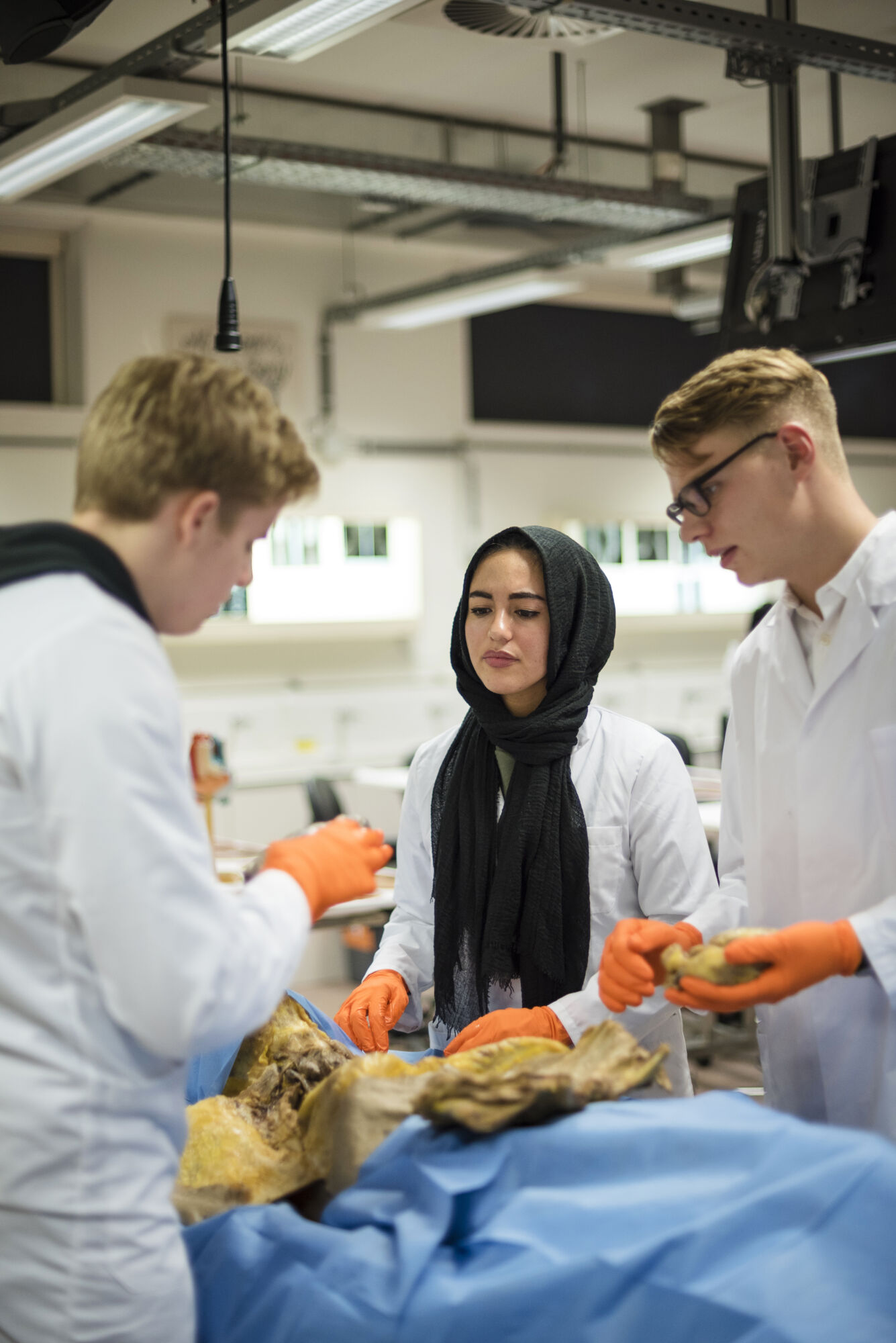 Anatomiepracticum geneeskunde (54).jpg