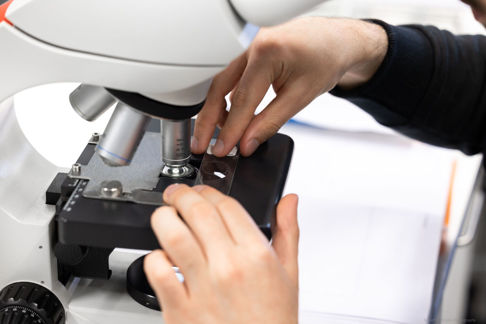 histologie-bachelorBMW-37.jpg