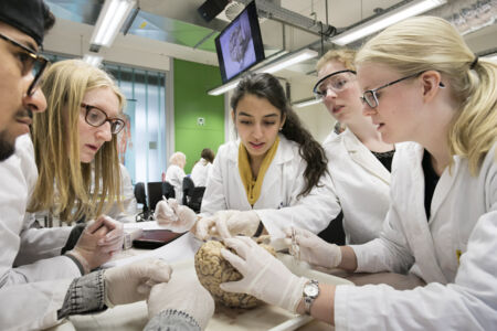 Neuro-practicum - biomedische wetenschappen (15)
